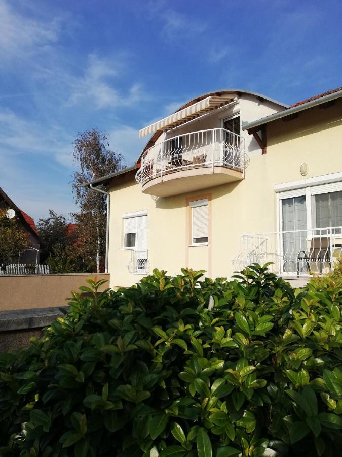 Boroka Apartman ヘーヴィーズ エクステリア 写真